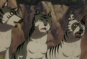 Kagetora nobutora harutora.png