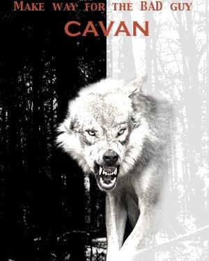 Cavan2