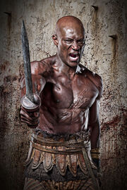 Oenomaus the Gladiator.jpg