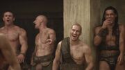 Spartacus1x02 0633.jpg