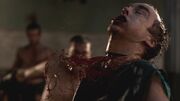 Spartacus1x13 1841