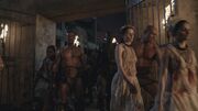 Spartacus1x13 1895