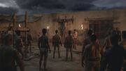 Spartacus1x08 1382