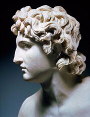 Alexander the Great Bust