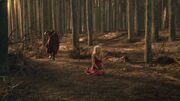 Spartacus2x08 1807.jpg