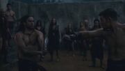 Spartacus-vs-gannicus