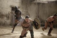 Shadow Games - Oenomaus, Spartacus, Crixus