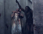 Litaviccus rampages through Sinuessa.