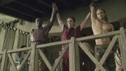 SpartacusGx03 0057.jpg
