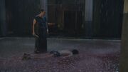 Spartacus1x06 1138.jpg