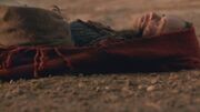 Spartacus3x09 0035.jpg