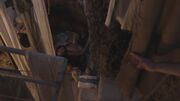 Spartacus1x10 0638.jpg