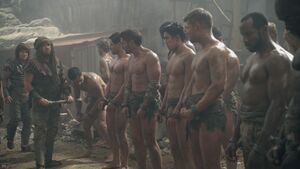 Spartacus2x03 1106