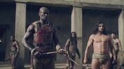 SpartacusGx04 0407.jpg