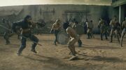 SpartacusGx03 0686.jpg