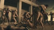 SpartacusGx03 1181.jpg