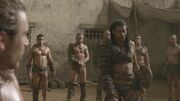 SpartacusGx05 0756.jpg