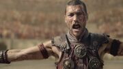 Spartacus1x07 1150