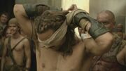 Gannicus blind