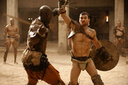 Spartacus 500