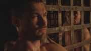 Spartacus1x12 1532