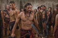 !!!spartacus vengeance episode 206 2012 02 6x4 5955545