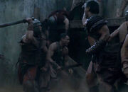 Lydon fighting alongside .