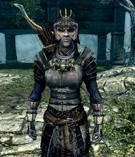 Jenassa Skyrim Spartanmazdapedia Wiki Fandom