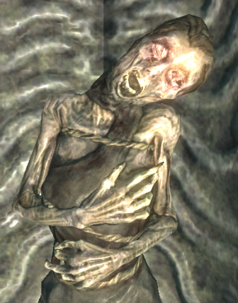 skyrim embrace the night mother