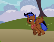 PonyWithBackground