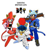 Samurai British cats color