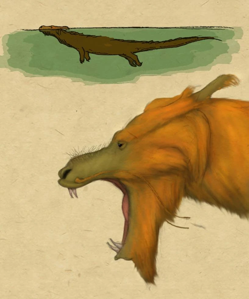 Chinese Long Therapsid Speculative Evolution Wiki Fandom