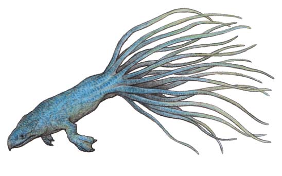 Belttail Sea Dragon | Speculative Evolution Wiki | Fandom