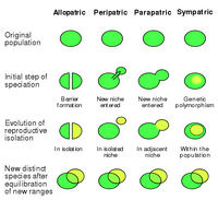 Speciation