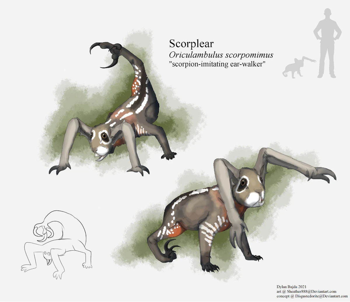 Scorplear Speculative Evolution Wiki Fandom
