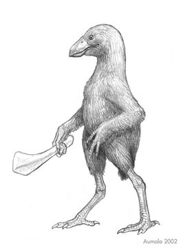 Homoraptor sapiens | Speculative Evolution Wiki | Fandom