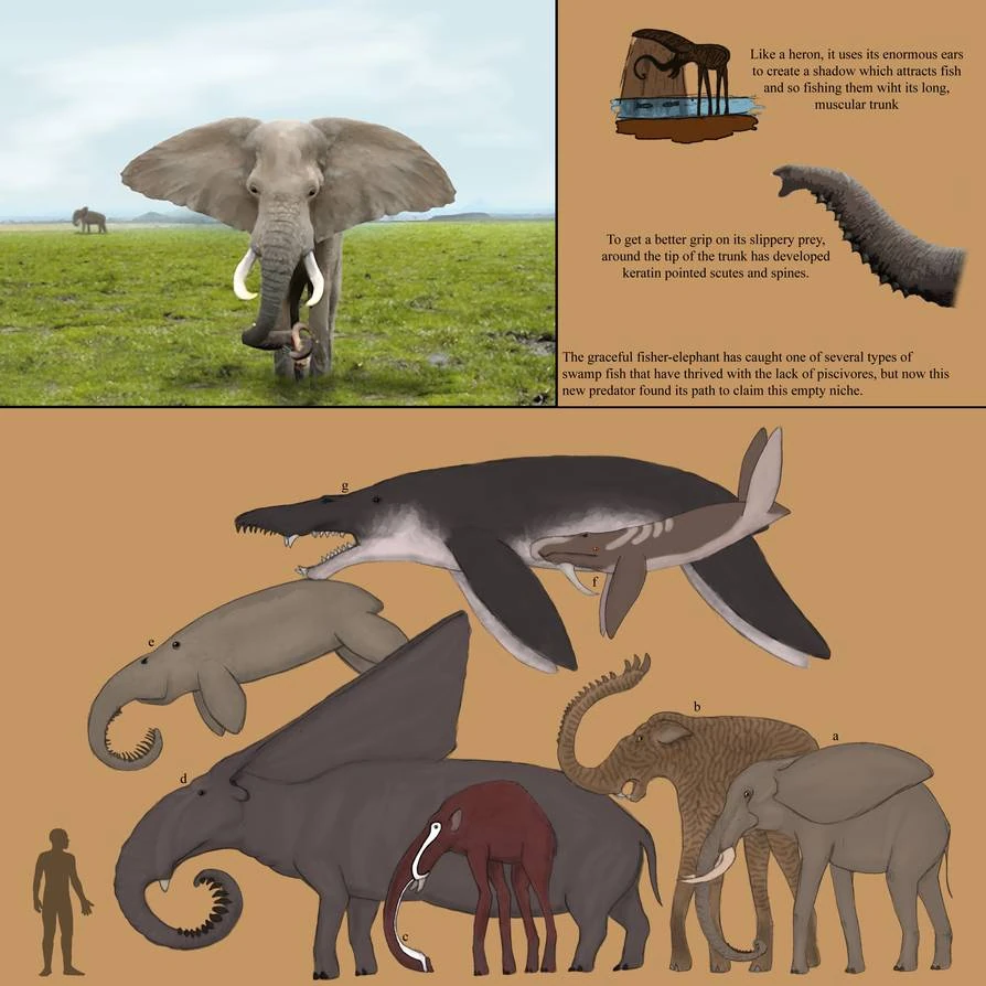 CategoryElephants Speculative Evolution Wiki Fandom