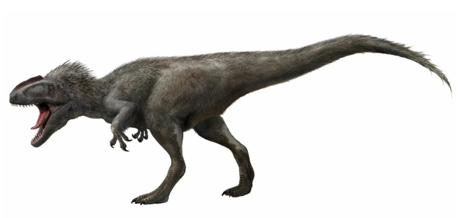 Tyrannosauroidea ( Dinolandia ), Speculative Evolution Wiki