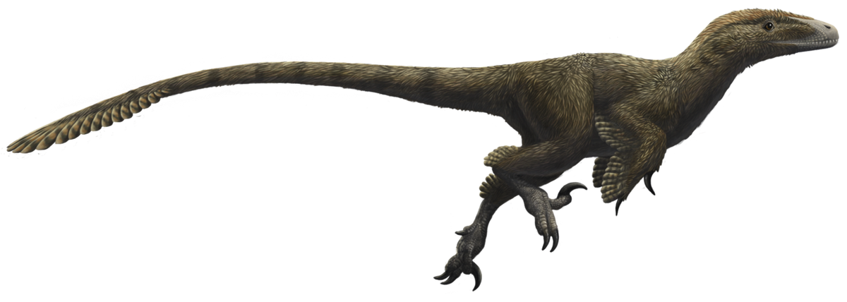 Titanoraptor | Speculative Evolution Wiki | Fandom