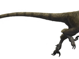 Titanoraptor