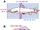Speculative Biomechanics