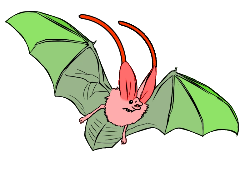 Passeropteridae (Elephant Speculative Evolution Wiki Fandom