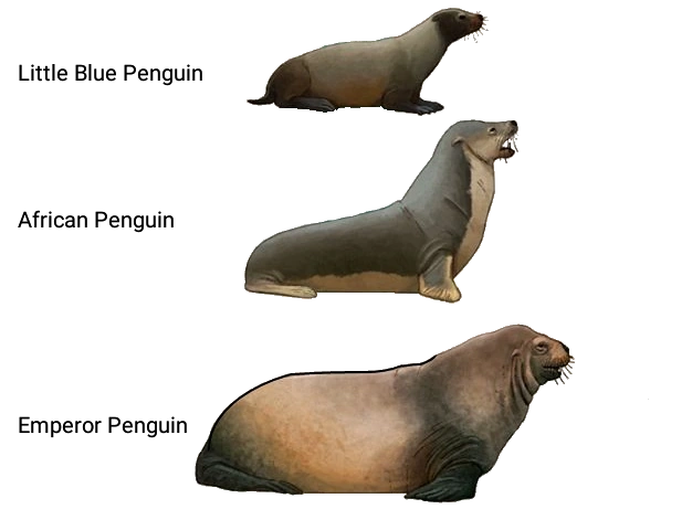 Penguin (Project: Mammalia) | Speculative Evolution Wiki | Fandom