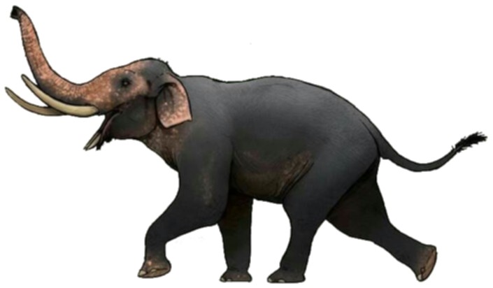 Four-tusked elephant (Liera) | Speculative Evolution Wiki | Fandom