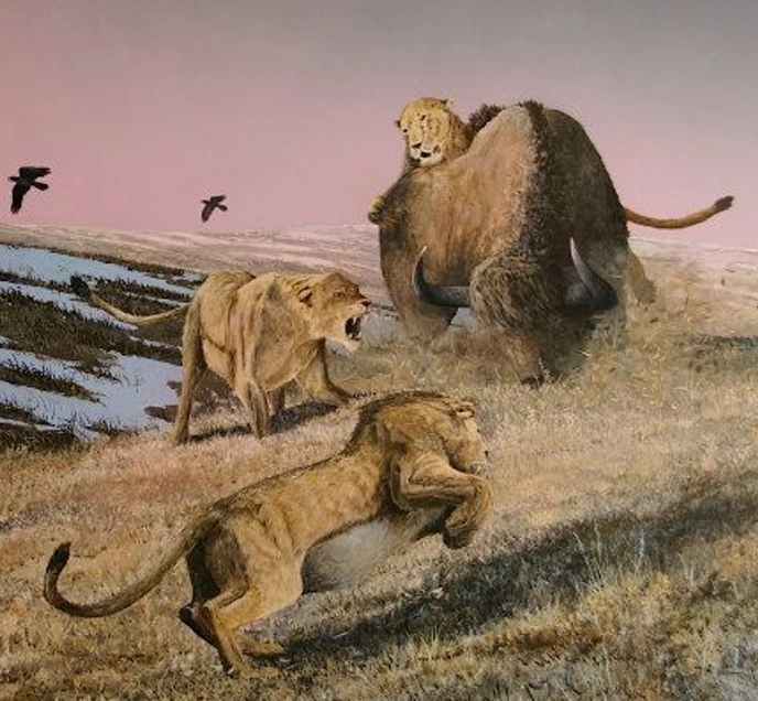 Felidae (Terra) Speculative Evolution Wiki Fandom