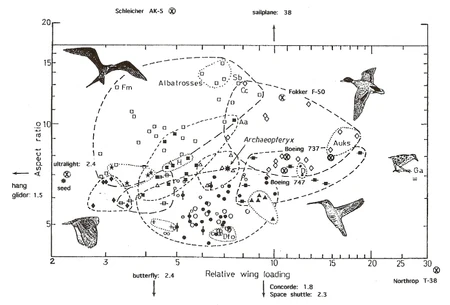 Aspect ratio vs. wing loading index in some birds, airplanes, a hang-glider, a butterfly, and a maple seed. Fm, Fregata magnificens (Magnificent Frigatebird); Ga, Gallirallus australis (Common name: Weka; (From: Norberg 2002).