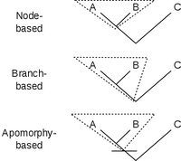 Types of clades