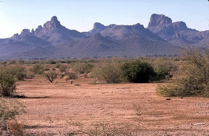 Western Scrublands (New Pleistocene) | Speculative Evolution Wiki