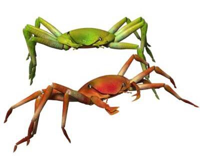 学研 メカニカルクラブ カニ Crab 未組立 当時もの ビンテージ