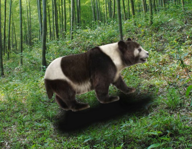 Kentucky Fried Panda California_panda_(New_Pleistocene)
